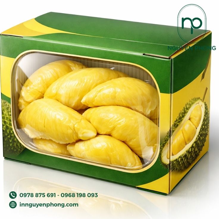 Mẫu in thùng carton đựng sầu riêng có cửa sổ mica